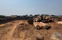 concession à Kinkole, 5494m2, 1.300.000$ mediacongo