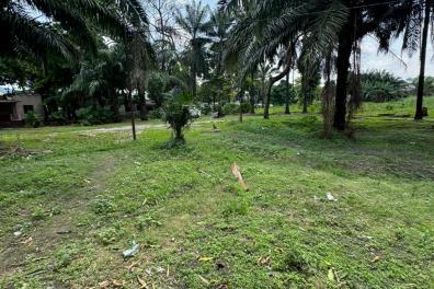 immobilier_vente_location Saint Immo  