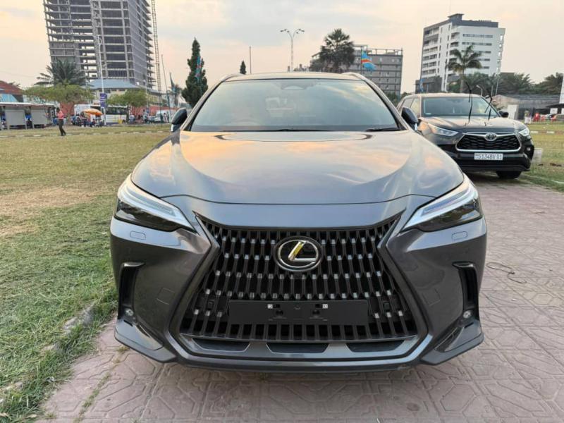Lexus NX450h Toit panoramique Marche pied  Anne 2024 Kilo 4111 Prix 29.000 azui localisation appel   Offre directe