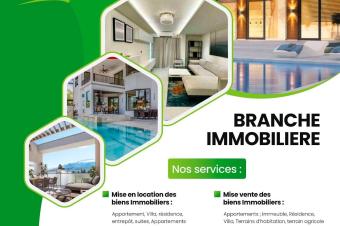 AVIS AUX PROMOTEURS ET PROPRITAIRES FONCIERS   Gombe et GB  confieznous la Mise en vente Terrains Villas Immeubles et la Mise en location Bureaux Rsidences Entrepts 