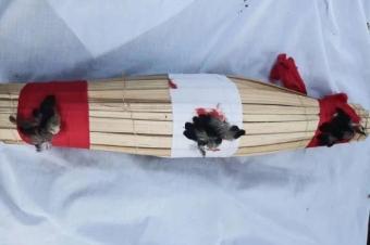 Trouver un marabout pour tout avortement  Avorter une grossesse