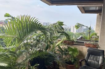Appartement de trs haut standing Gombe  vendre  Situ dans une rsidence scurise et discrte cet appartement offre des prestations premium idal pour investisseurs amb