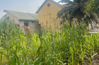 VENTE DUNE GRANDE PARCELLE  MACAMPAGNE 