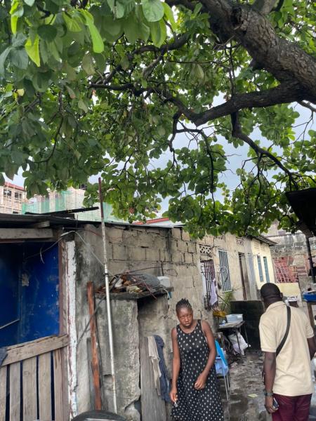 MAGNIFIQUE PARCELLE  VENDRE  KINTAMBO 