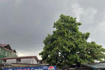 MAGNIFIQUE PARCELLE  VENDRE  KINTAMBO 