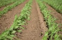 Le vent souffle où il veut, et tu en entends le son ; mais tu ne sais pas d’où il vient, ni où il va : il en est ainsi de quiconque est né de l’Esprit. Jean 3. 8 mediacongo