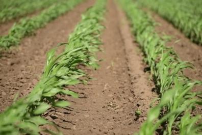 evenements_formations_conferences_eglises Douceur  