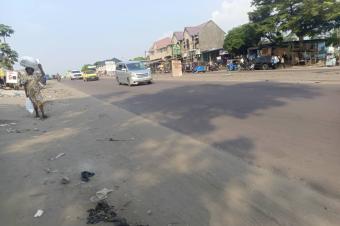 Parcelle  vendre sur Boulevard Lumumba  Nsele