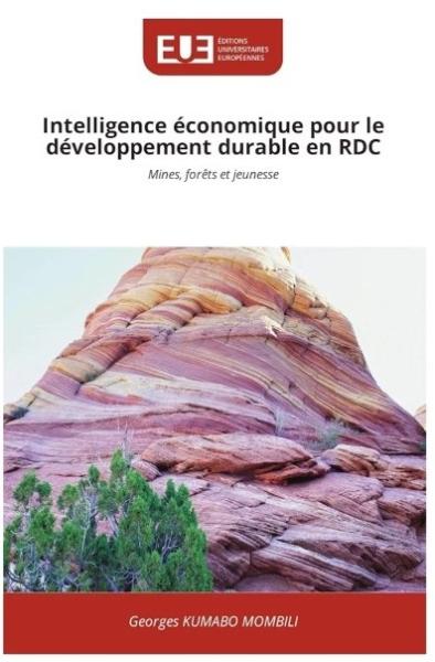 intelligence conomique pour le dveloppement durable en RDC mines forts et jeunesse