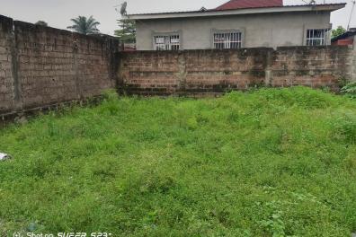 immobilier_vente_location Easy consulting   