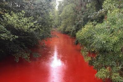 evenements_formations_conferences_eglises Douceur  