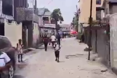 immobilier_vente_location Saint Immo  