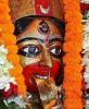 Astrologer guruji