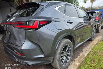 Lexus NX350h Anne de fabrication 2024 sans plaque besoin dargent 26000  discuter troc possible