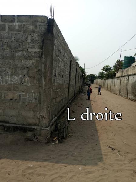 MAGNIFIQUE PARCELLE  VENDRE  KINSHASA NSELE