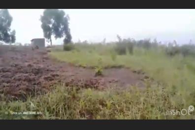 immobilier_vente_location Élite Groupe Corpor  