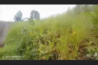 Belle opportunit  saisir  Nsele Kimpoko 1