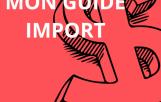 Ebook : Comment importer vos iPhones de Chine à Kinshasa (Guide 2026)