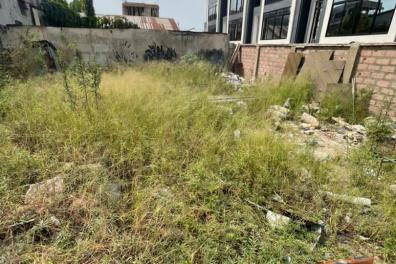 immobilier_vente_location Mme Mimi  