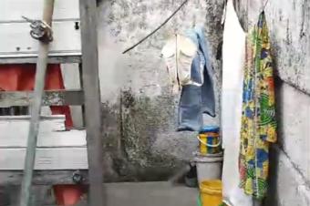 PARCELLE AVEC MAISON  STUDIO  VENDRE  BARUMBU  OPPORTUNIT  SAISIR 
