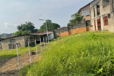 immobilier_vente_location Consulting Immo et C  