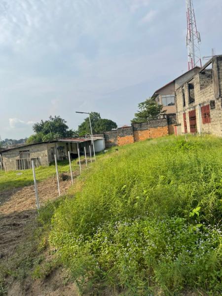 GRANDE PARCELLE DE 1000 mtre carr  vendre  macampagne avenue colonel mpia