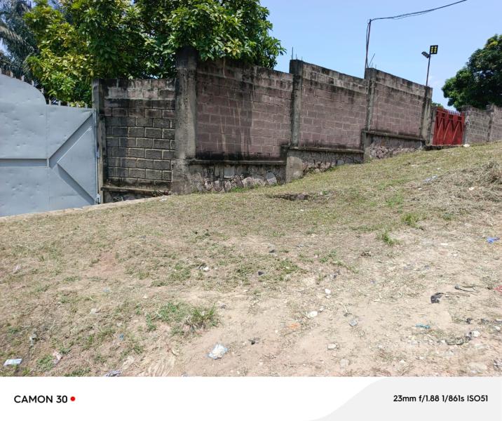 NGALIEMA BINZA PIGEON KANANGA  MISE EN VENTE DES TERRAINS DE 10mx20m au prix de 120 000  NEGOCIABLE 