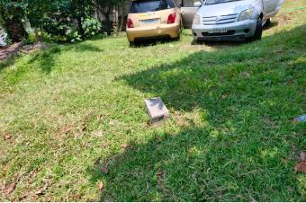 NGALIEMA BINZA PIGEON KANANGA  MISE EN VENTE DES TERRAINS DE 10mx20m au prix de 120 000  NEGOCIABLE 