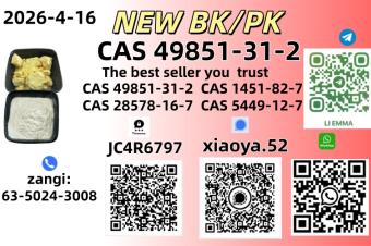 NEW BMKPMK CAS 49851312 CAS 28578167In Stock