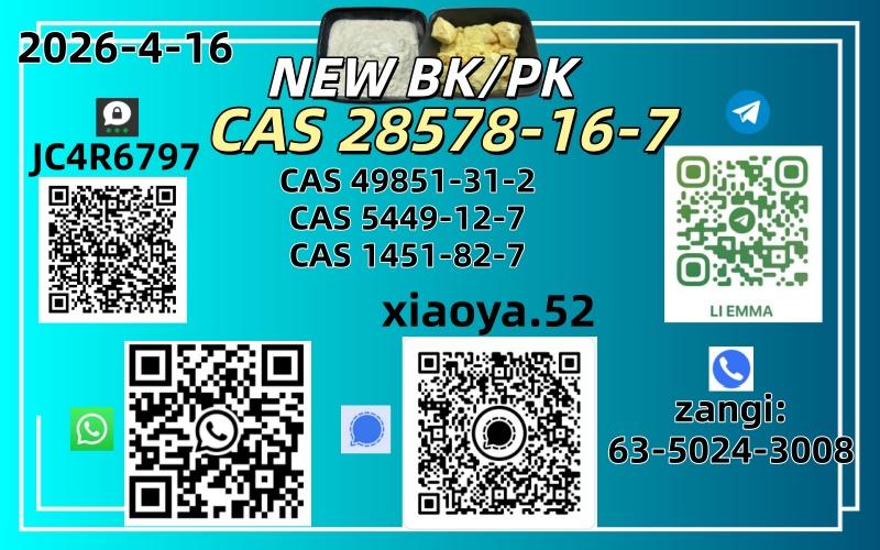 CAS 28578167New P.MK PowderOil