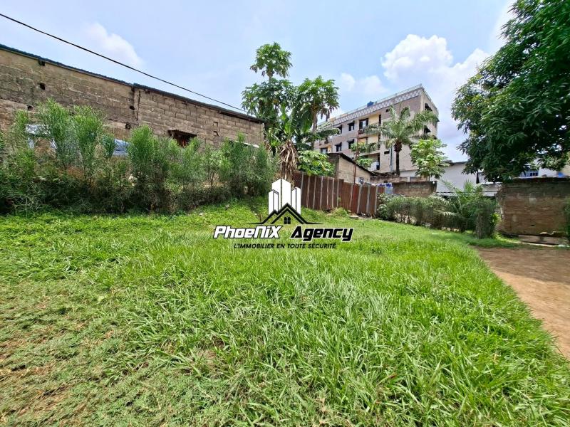 Vente  Terrain  Ngaliema vers Delvaux