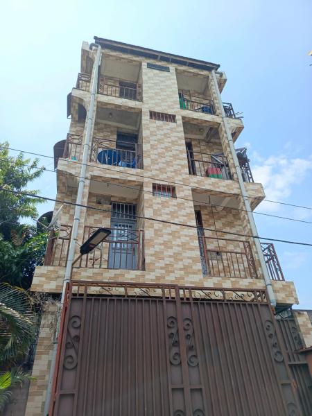 Immeuble R3 rentable  vendre  Barumbu  9 appartements  3.150mois