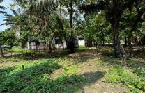 Concession à Limete, 4 hectares, 16.000.000$ mediacongo