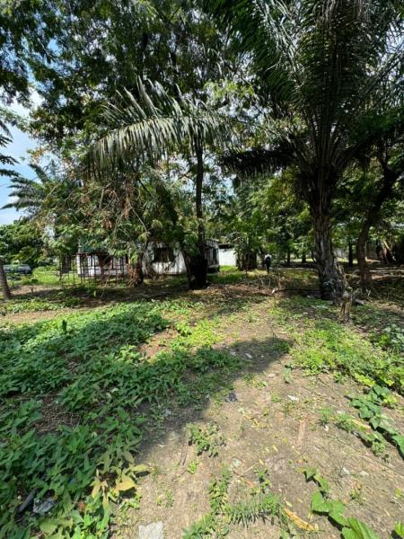 Concession  Limete 4 hectares 16.000.000