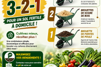 Plantons à Domicile  services_propositions_d_affaires