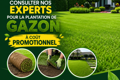 services_propositions_d_affaires BUKOGROUPE SARL  