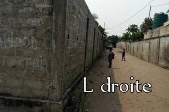 MAGNIFIQUE TERRAIN  VENDRE  KINSHASA 