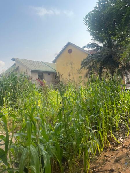 Parcelle  vendre  macampagne sur lavenue fort 