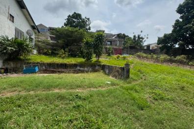 immobilier_vente_location GROUPE  GÉANT  VERT  
