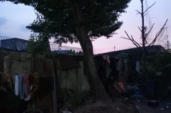 Belle opportunit  saisir  Kalamu