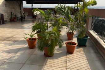 APPARTEMENT AVEC MEUBLES  VENDRE  KINSHASA GOMBE 