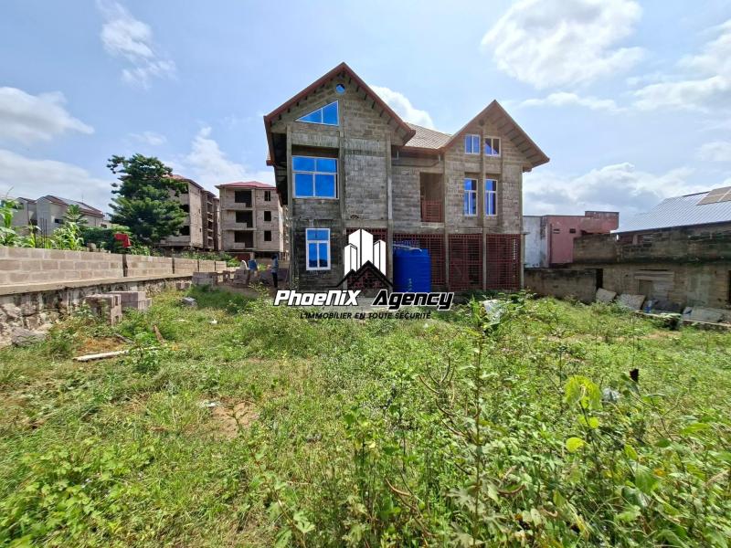 Vente  Terrain dans la concession Ndangi  Ngaliema 
