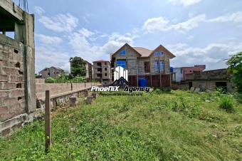 Vente  Terrain dans la concession Ndangi  Ngaliema 