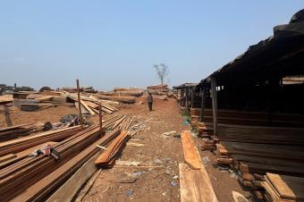 concession  Kinkole 5494m2 1.300.000