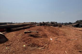 concession  Kinkole 5494m2 1.300.000
