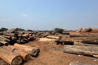 concession  Kinkole 5494m2 1.300.000