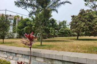 Villa  Pigeon 2 hectares 12.000.000