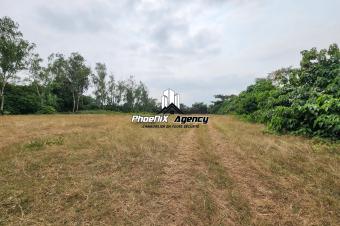 Vente  Terrain au Cercle Hippique de Ngaliema 