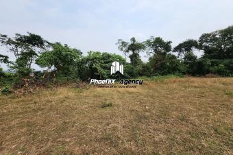 Vente  Terrain au Cercle Hippique de Ngaliema 