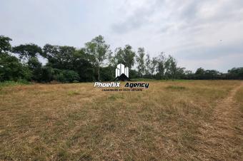 Vente  Terrain au Cercle Hippique de Ngaliema 